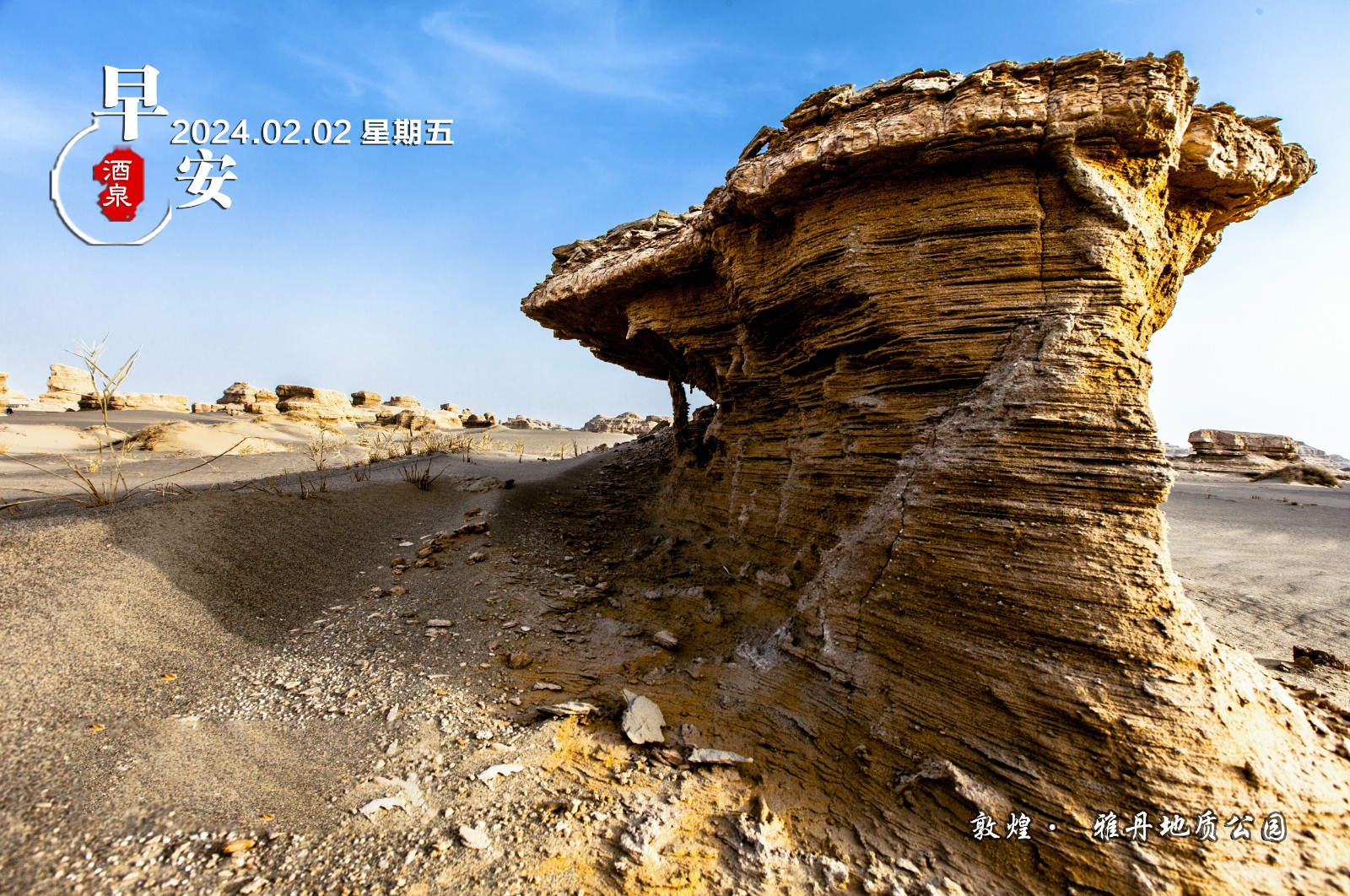 微信图片_20240202074816.jpg
